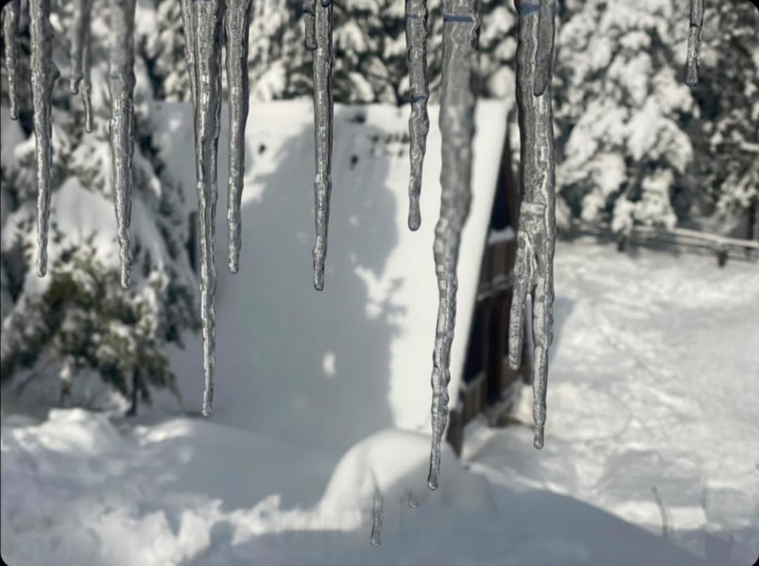 Vikendica Tarsko Srce S Villa Mitrovac Eksteriør bilde